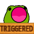 209453-triggered-froggo.gif